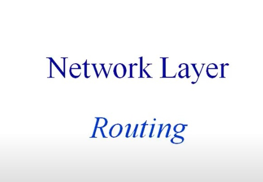 Network Layer Design Issue