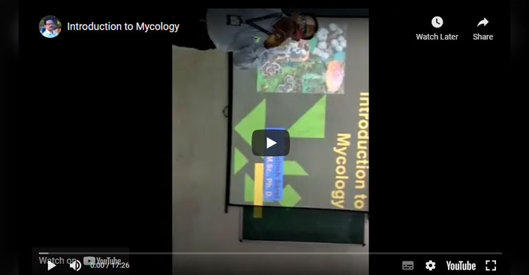 intro-to-mycology